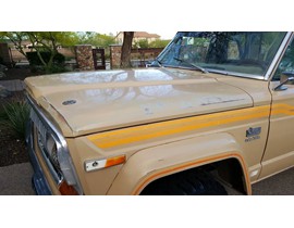 1978 Jeep J10 10-4 Trim Package 4