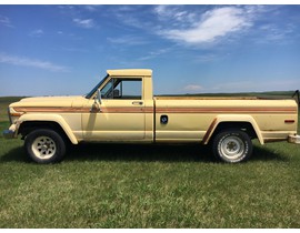 1979 Jeep J10 9
