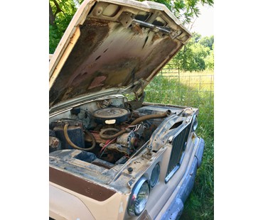 1964 Jeep J300 2WD Gladiator Pickup 2