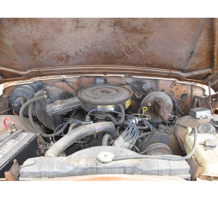 1978 Jeep J10 Golden Eagle Levi Edition 8