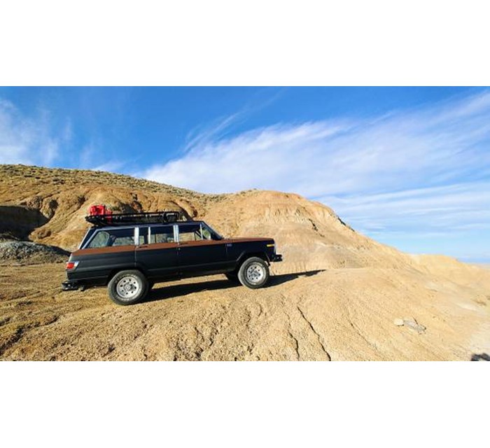1979 Jeep Wagoneer Limited 1