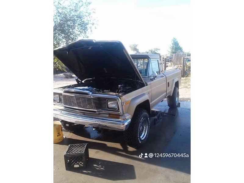 1979 Jeep J10 P/U Truck